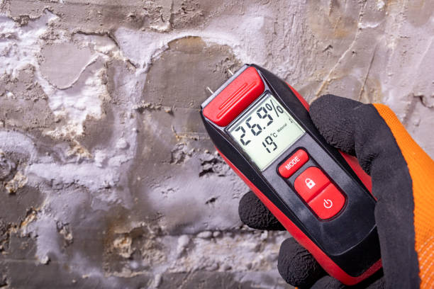 Best Post-Flood Mold Remediation in Luverne, MN