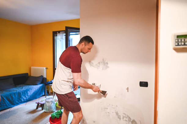 Best Localized Mold Remediation (e.g., coastal areas, humid climates) in Luverne, MN